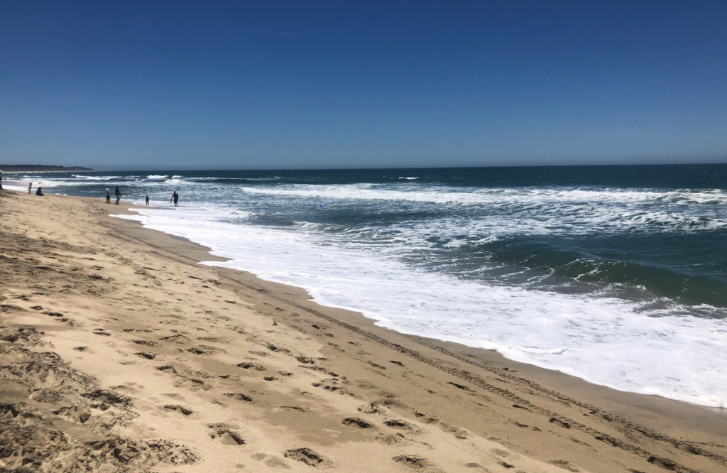 California Mesothelioma Lawyers - Early, Lucarelli, Sweeney & Meisenkothen