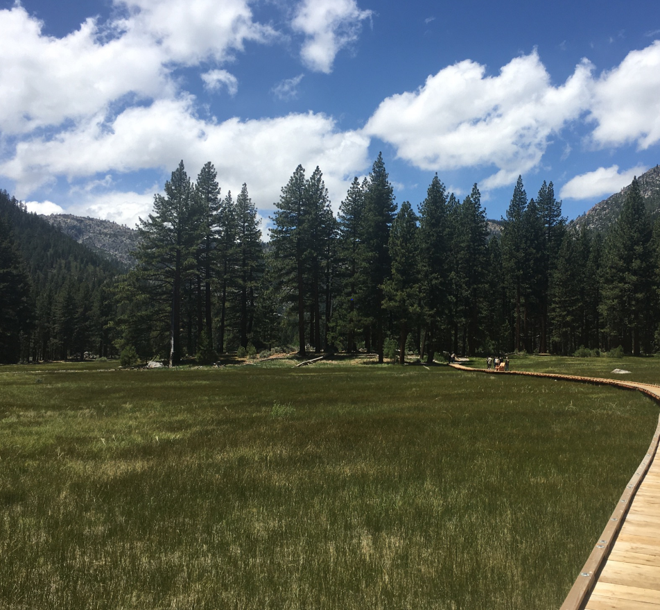 Alpine County Mesothelioma