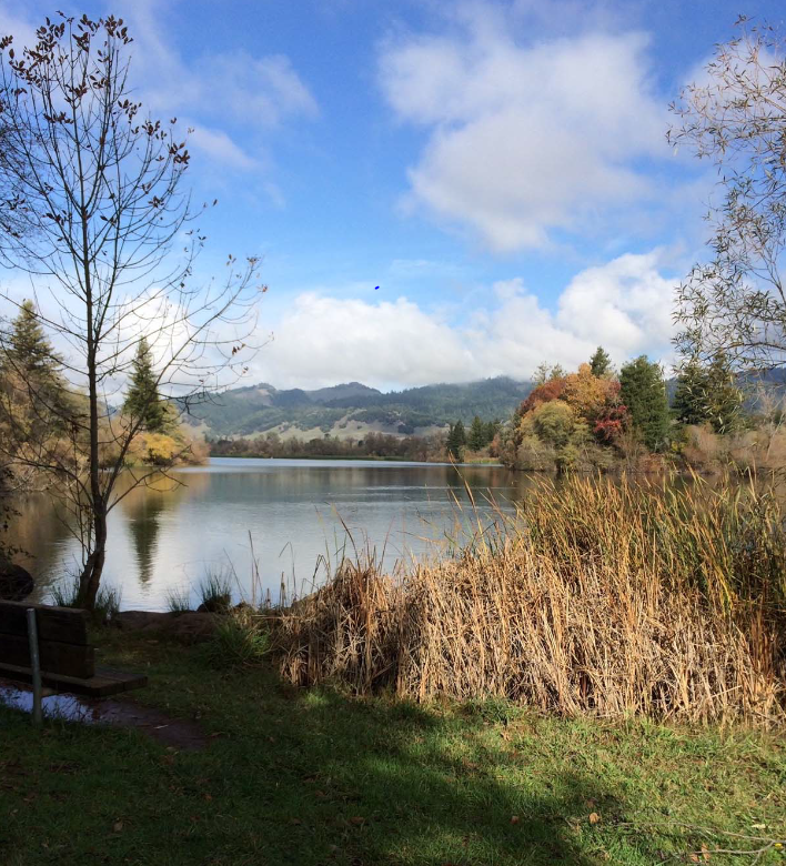 Santa Rosa California Mesothelioma