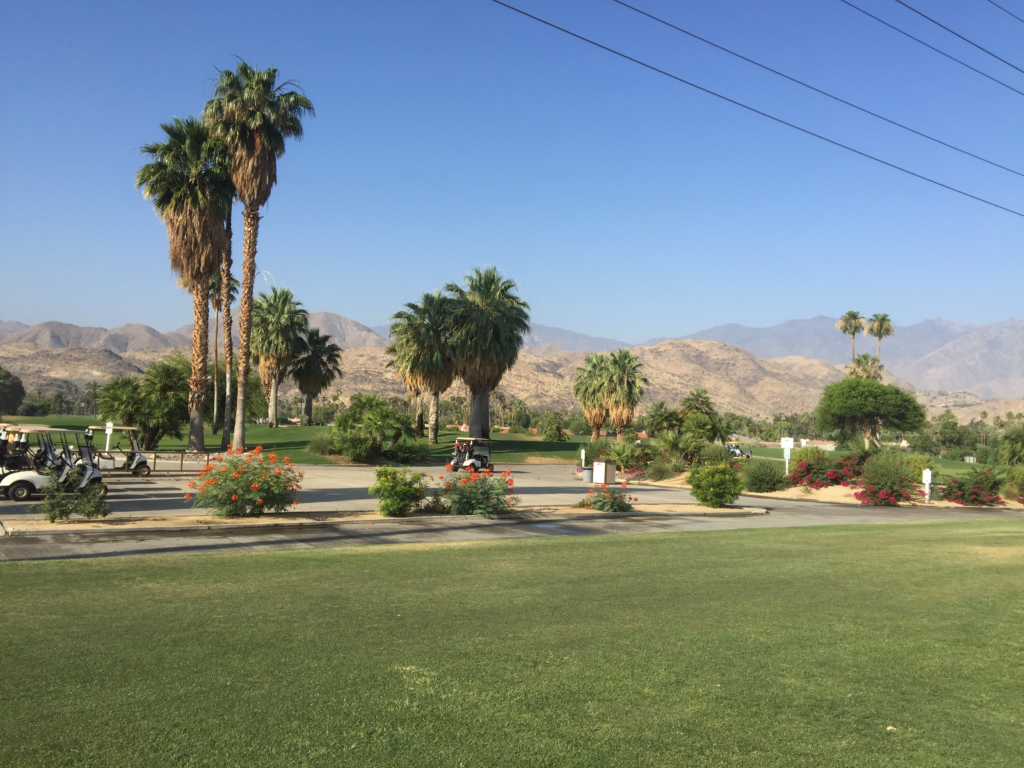 Palm Springs Mesothelioma